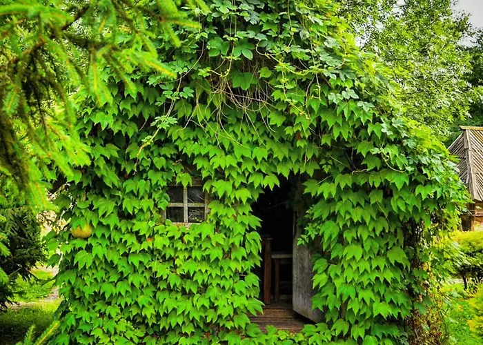 Kraljevsko Selo Kotromanicevo Resort 5*